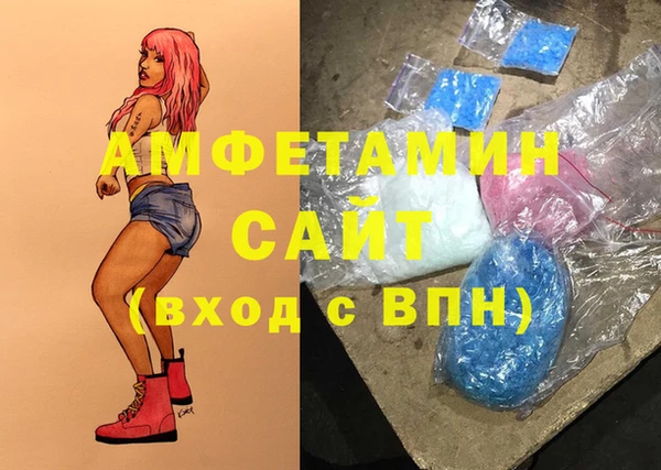 мдпв Дмитров