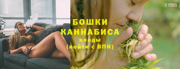 2c-b Дмитриев