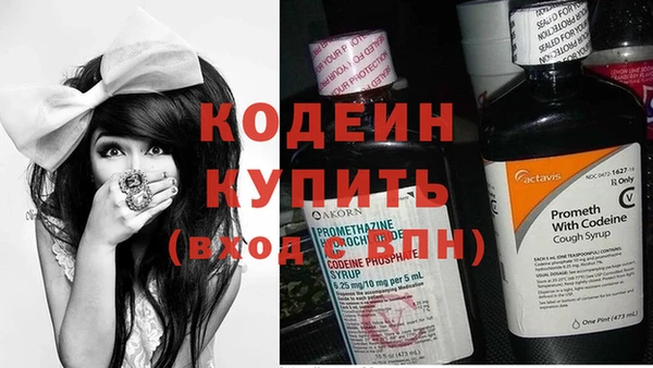мдпв Дмитров