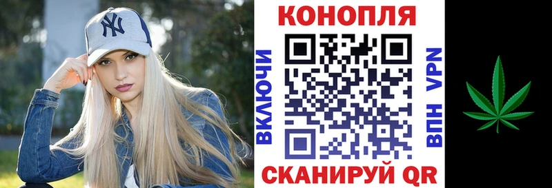 Каннабис Bruce Banner  Купить где  Клин 